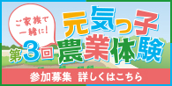 食育体験「元気っ子農業体験」