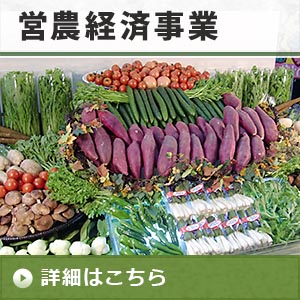営農経済事業