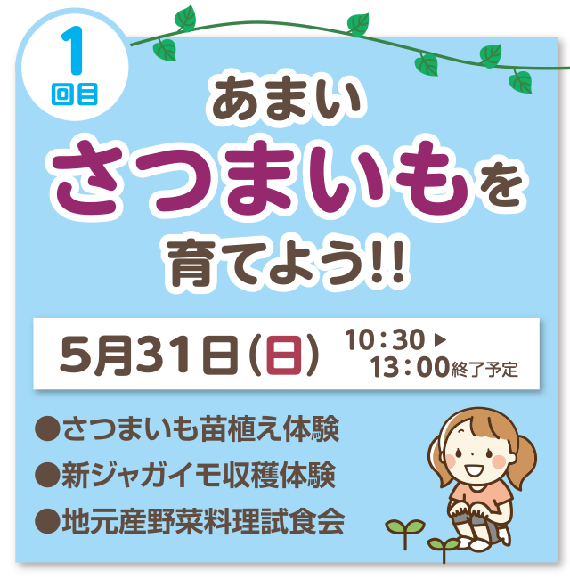 1回目 あまいさつまいもを育てよう！！ 5月31日（日）10：30～13：00終了予定