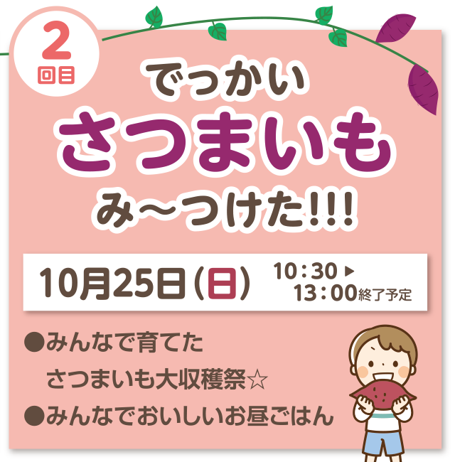 2回目 でっかいさつまいもみ～つけた！！！ 10月25日（日）10：30～13：00終了予定