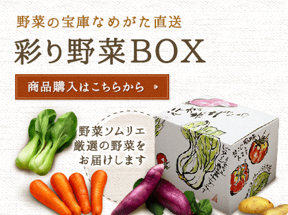 野菜の宝庫なめがた直送 彩り野菜BOXの購入はこちらから